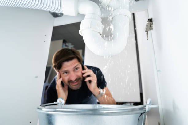 Best Affordable Plumbing Services  in Payson, IL